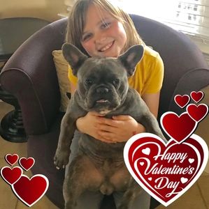 Meet your Posher, Sandy